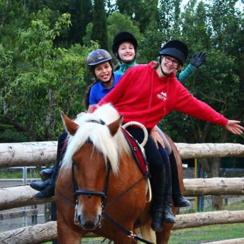 campamento pirineo ecuestre 2017