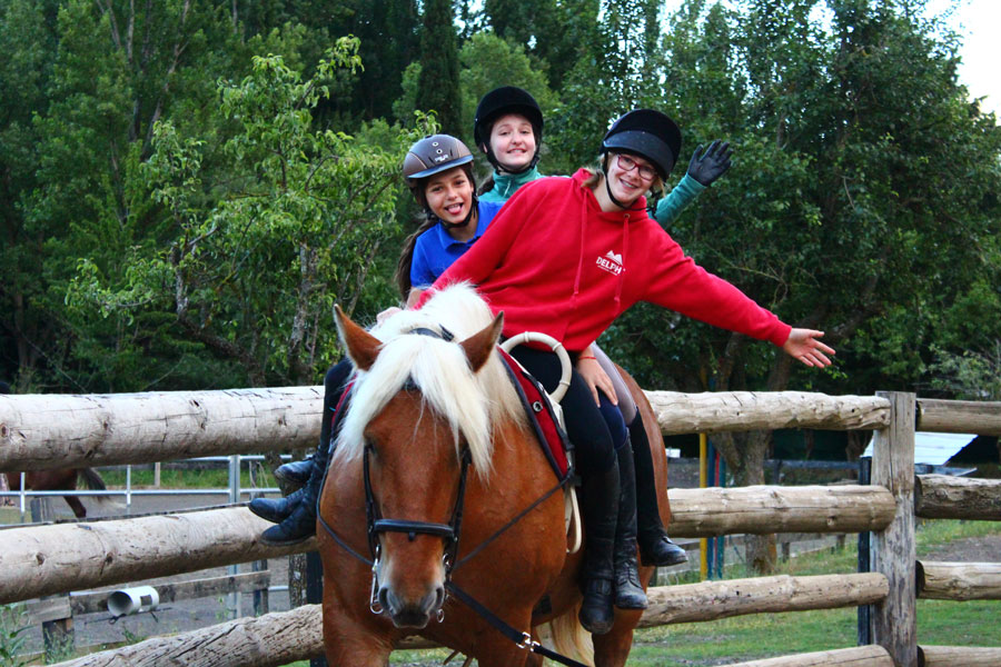 campamento pirineo ecuestre 2017