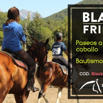 black friday pirineo ecuestre