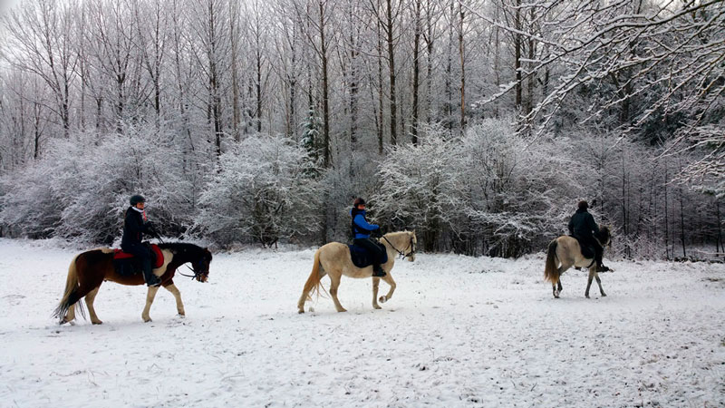 paseos a caballo invierno en el pirineo