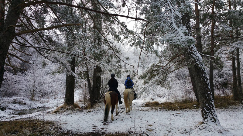 ruta a caballo por el pirineo en invierno