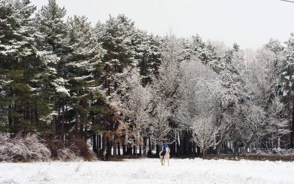 ruta invierno pirineos a caballo