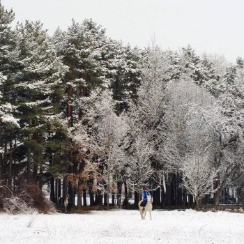 ruta invierno pirineos a caballo