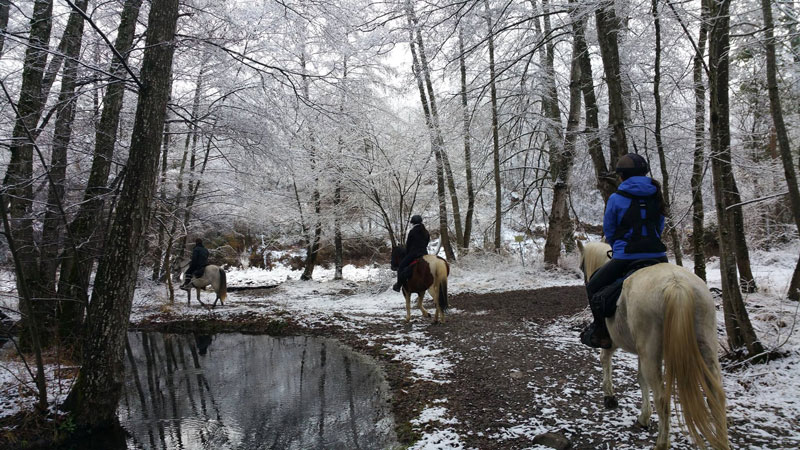 rutas a caballo turismo en invierno pirineos