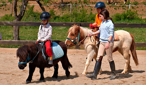 paseos en ponis jaca