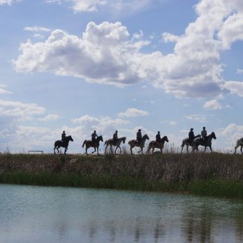 a caballo por el desierto de las bardenas