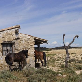 rutas a caballo desierto bardenas