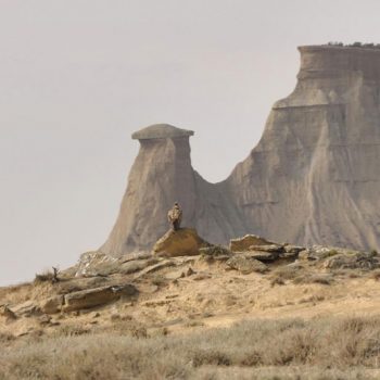 desierto de las bardenas a caballo