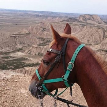 rutas a caballo por navarra