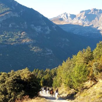 camino de santiago a caballo