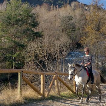 camino de santiago a caballo