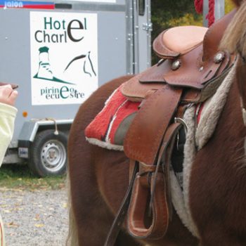 ponis para niños en jaca