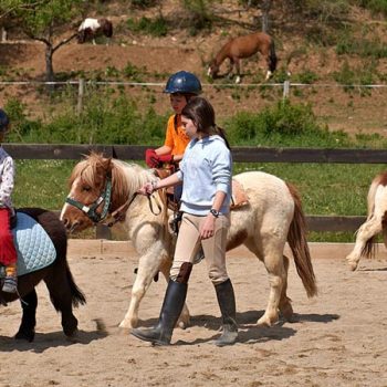 paseo en caballos para niños