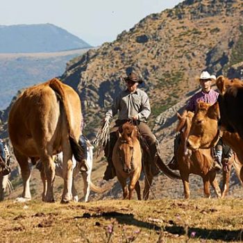 transhumancia a caballo turismo