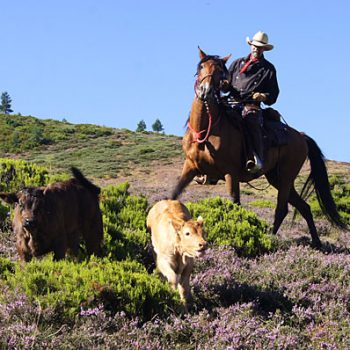 ruta transhumancia a caballo