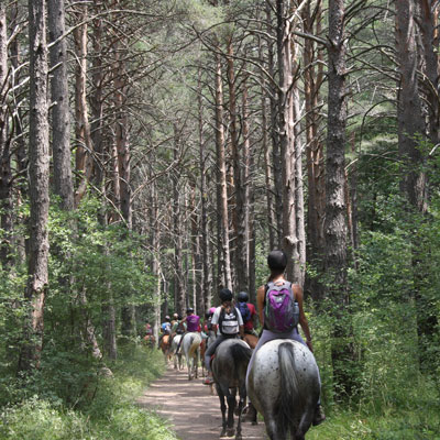 rutas a caballo pirineo ecuestre