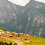 ruta a caballo por el parque nacional de los Pirineos