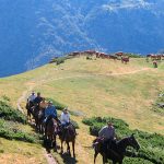 ruta a caballo en los pirineos