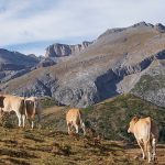 RUTA POR EL PIRINEO A CABALLO