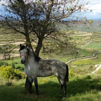 ruta a caballo en el alto aragon