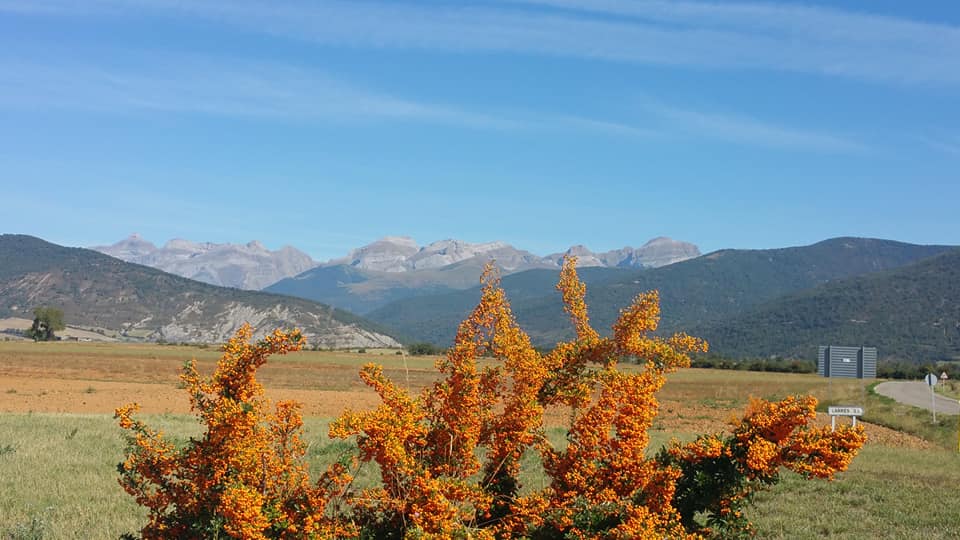 otoño en jaca