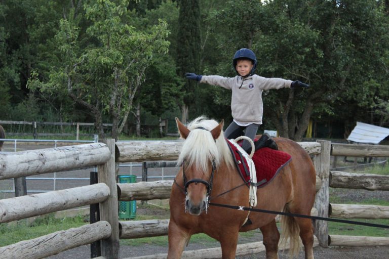 clases de equitacion caballos jaca