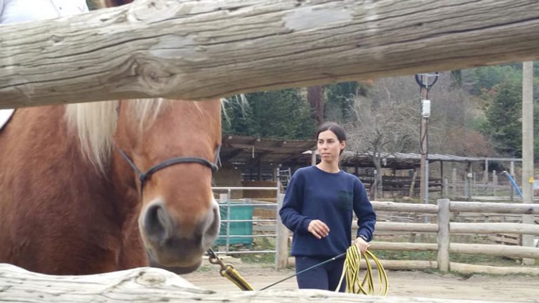 actividades-con-caballos-en-el-pirineo