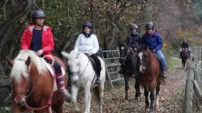 caballos-en-el-pirineo-jaca