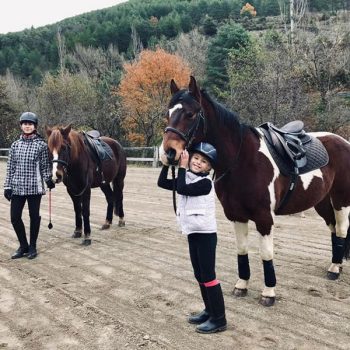 caballos-en-jaca-pirineos