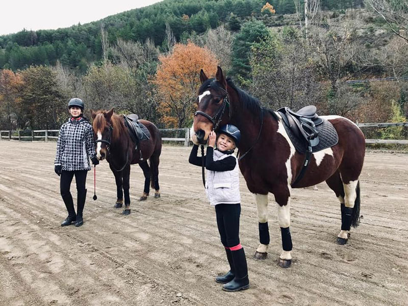 caballos-en-jaca-pirineos