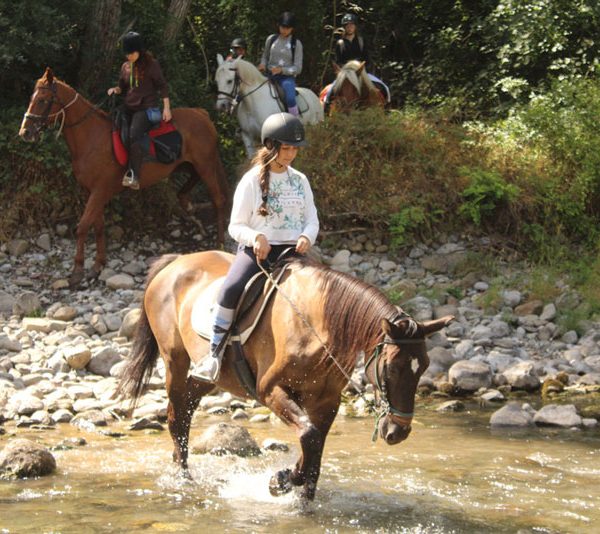 campamentos de equitacion navidades