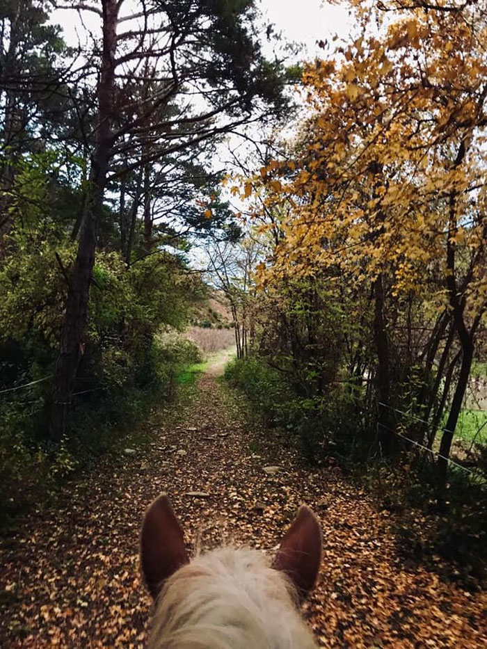 paseos-a-caballo-otoño-pirineo