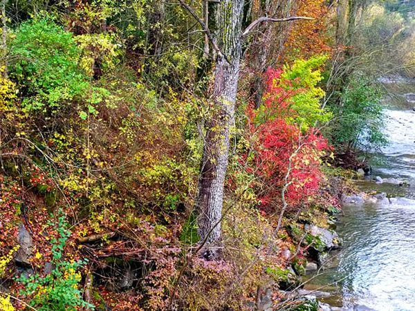 otoño en jaca pirineo