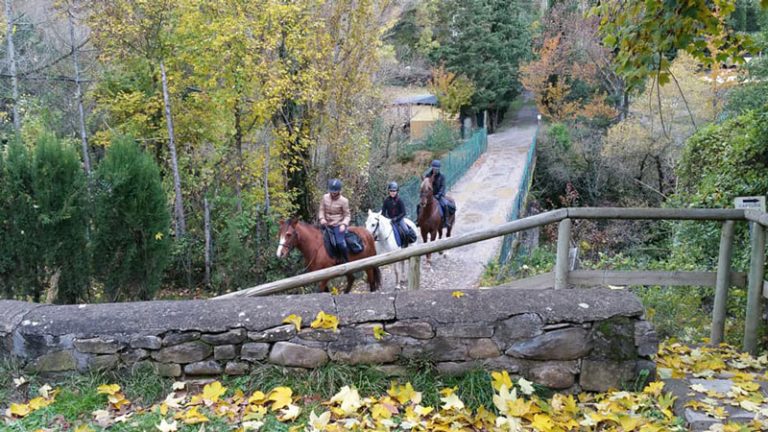 paseos a caballo en jaca