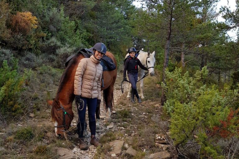 caballos pirineo jaca