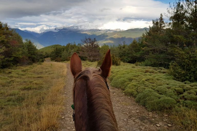 paseos a caballo en jaca