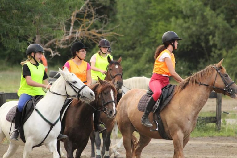 caballos en el pirineo