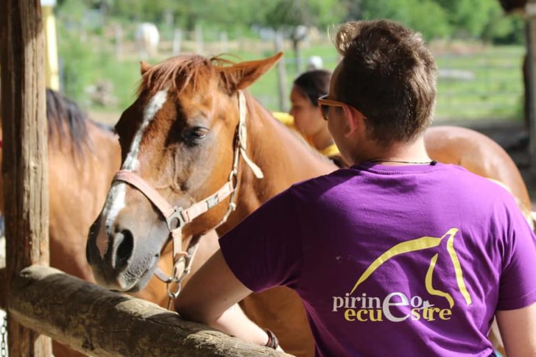 campamentos de equitacion y caballos