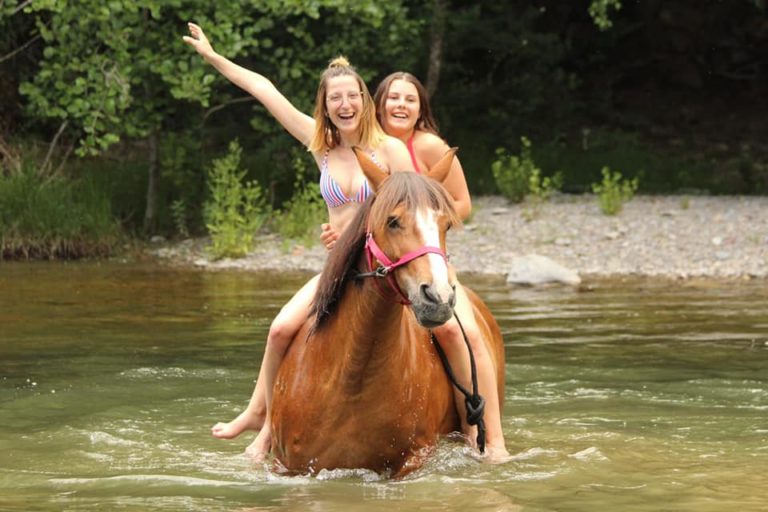 caballos en el pirineo